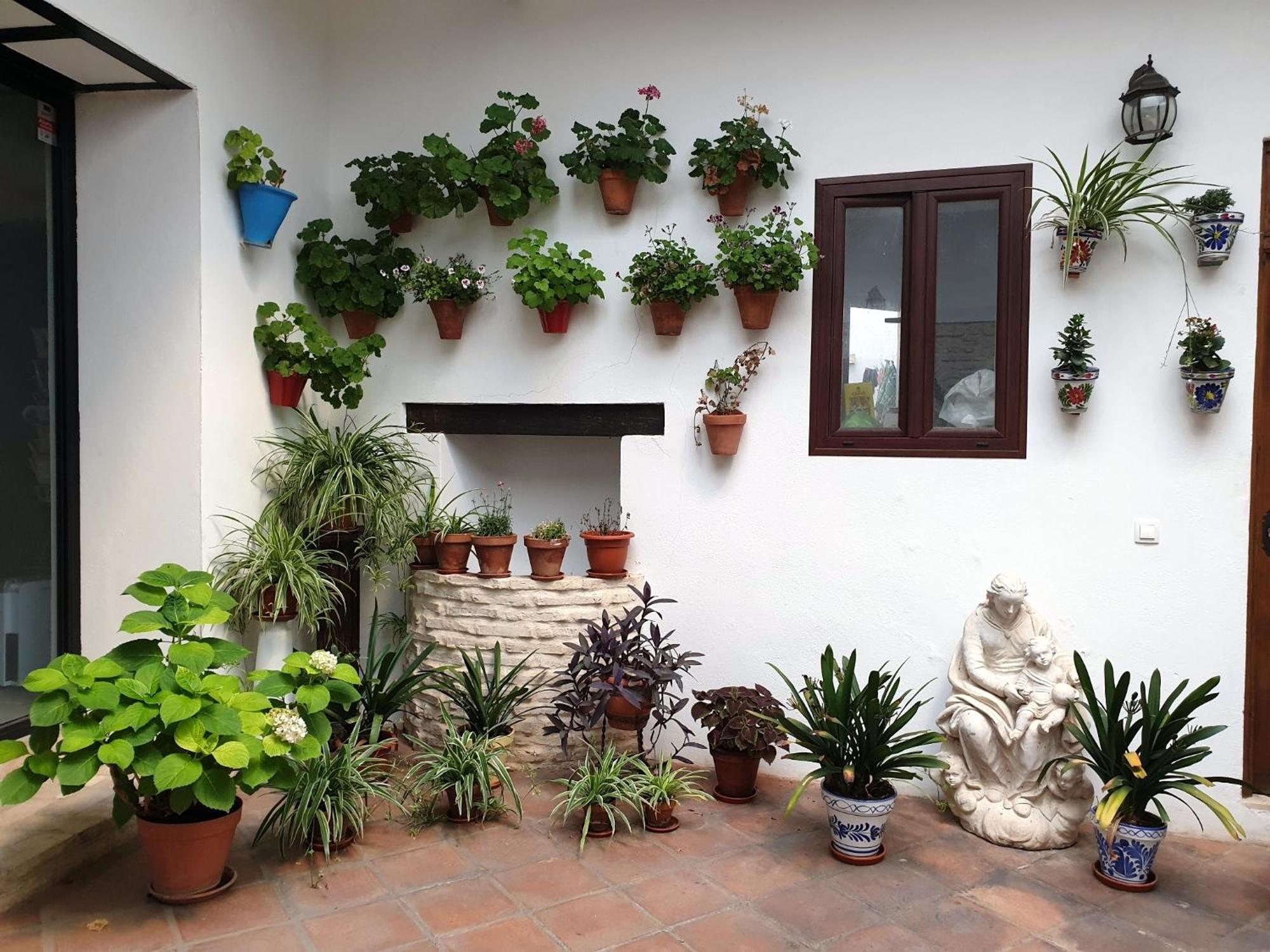 Entre Patios Y Flores กอร์โดบา ภายนอก รูปภาพ
