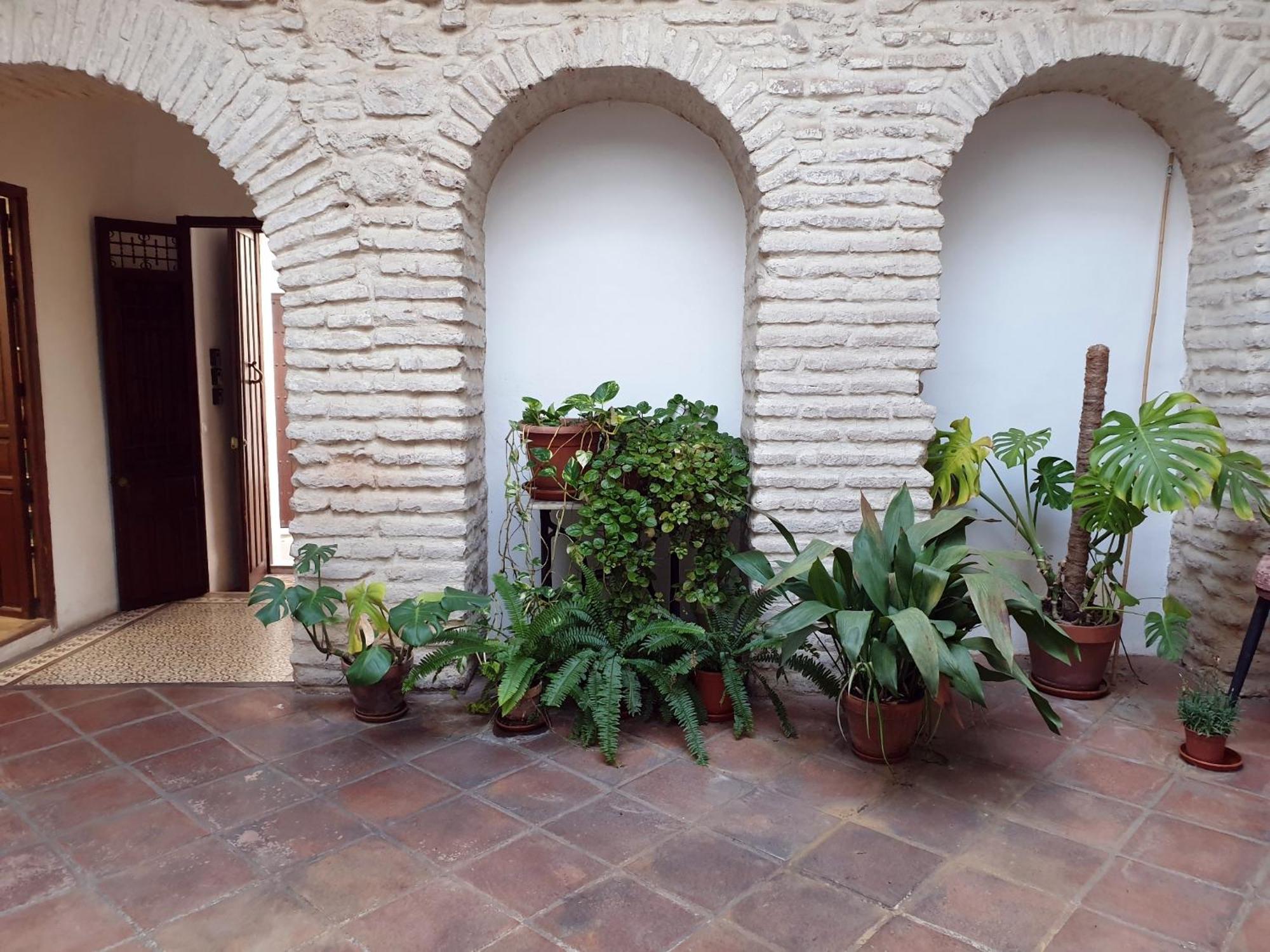 Entre Patios Y Flores กอร์โดบา ภายนอก รูปภาพ